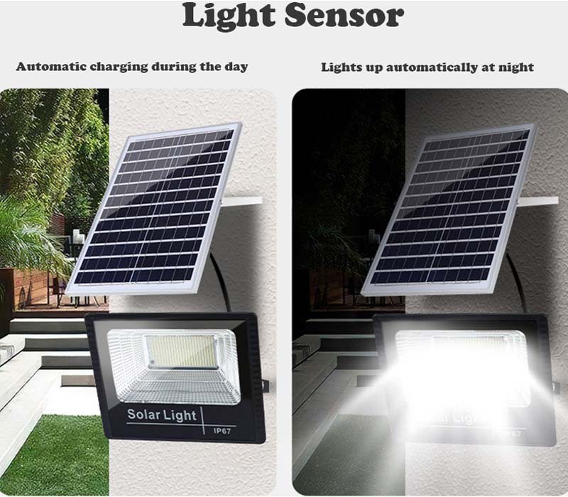 Detalles del producto-1